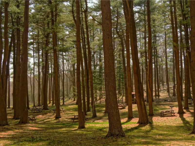 sudoku perfect score