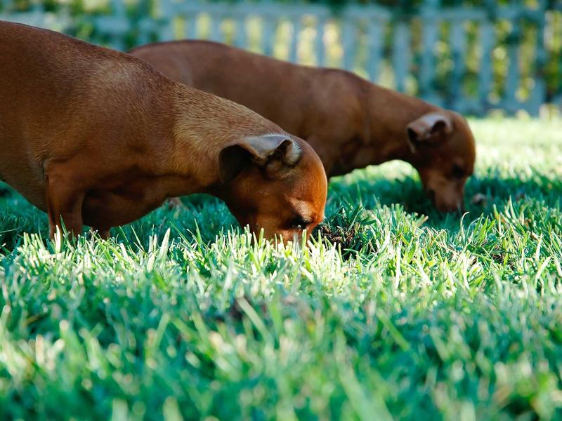 sudoku portrait mode screenshot 6