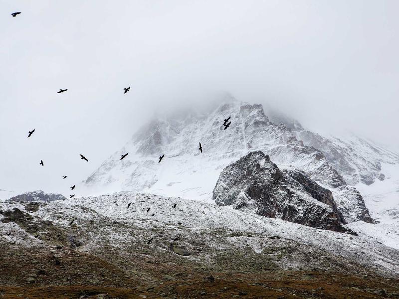 sudoku perfect score screenshot 6